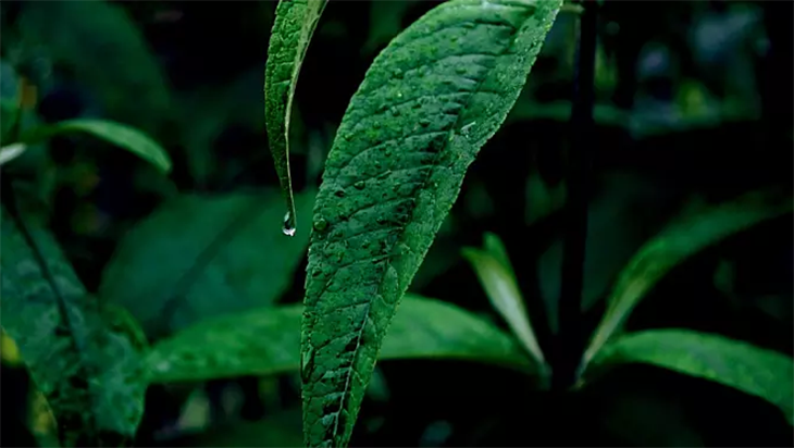 1587350966901790.png 2.png